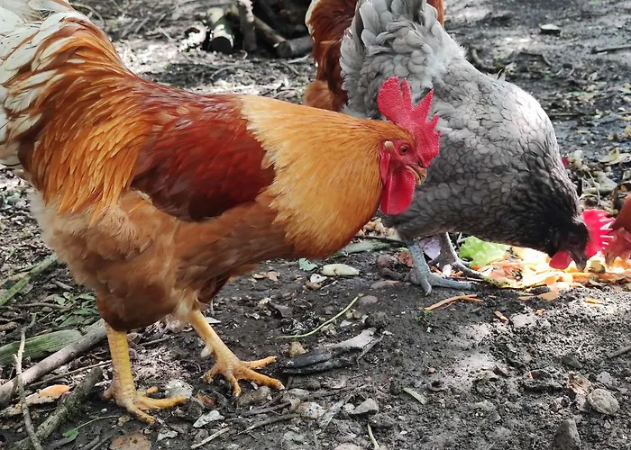 La Demeure De Fiacre Bed & Breakfast 4*